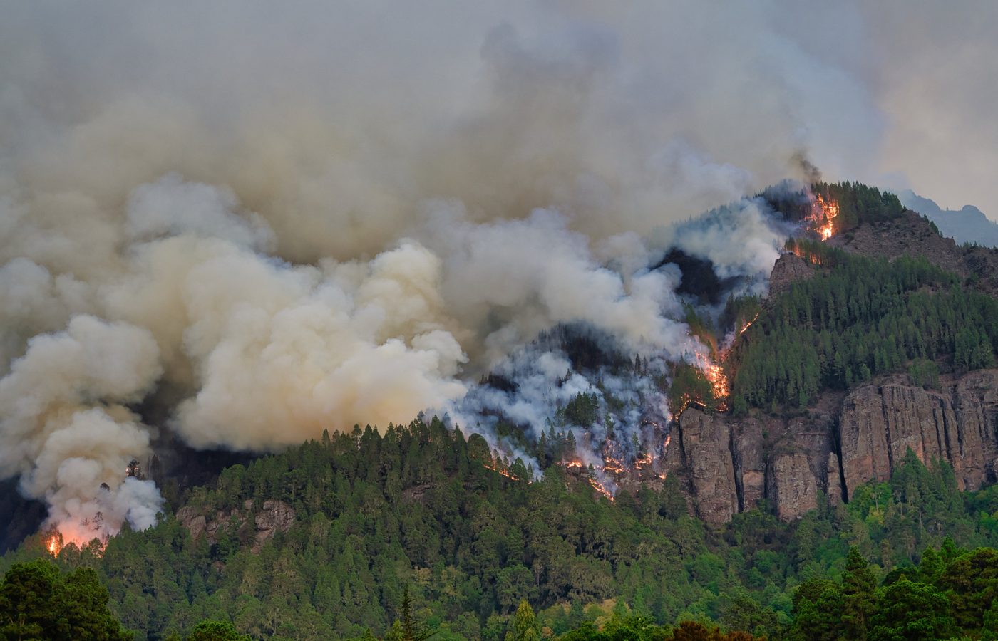 サファリの実用的なヒント