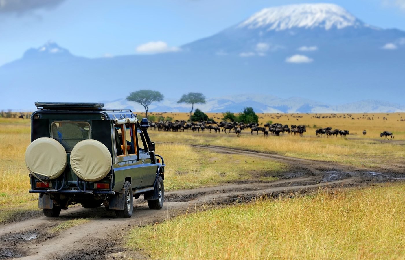 Jeep Safariが究極の冒険である理由：‎