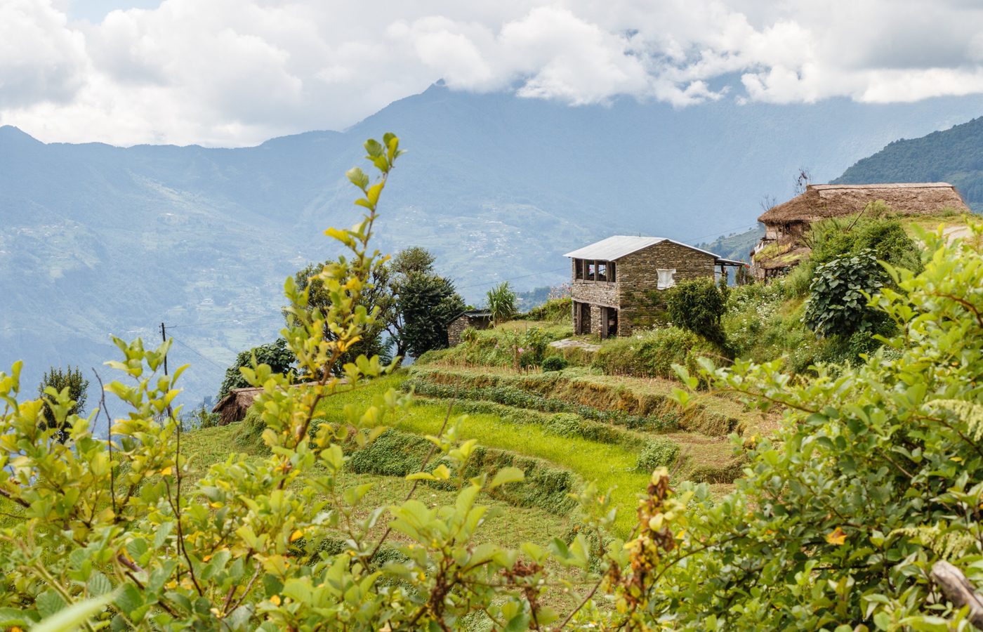 6. 半額で王族気分のダイニングを楽しみます
