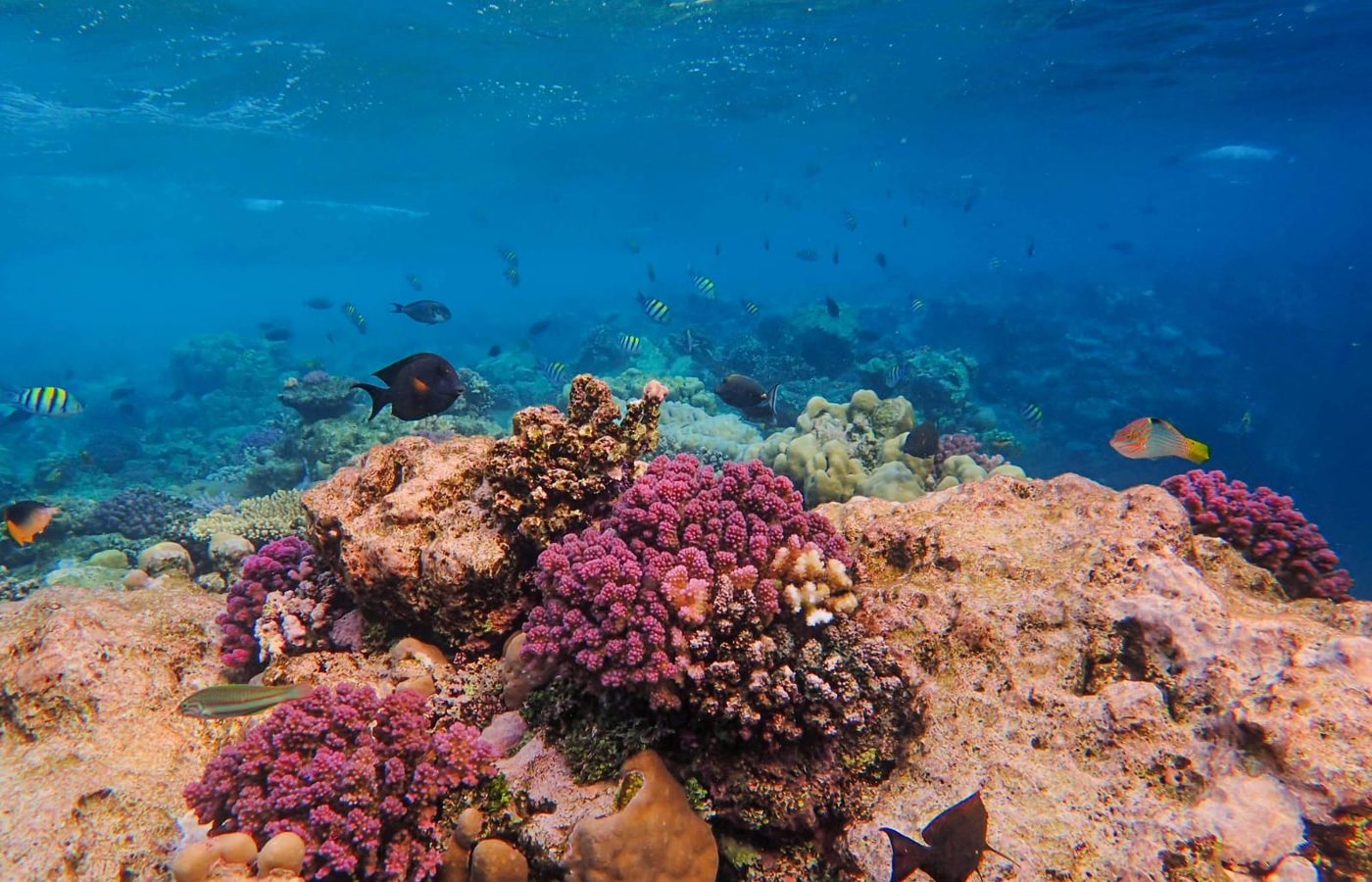 4. Warum diese „High-Definition“-Klarheit?