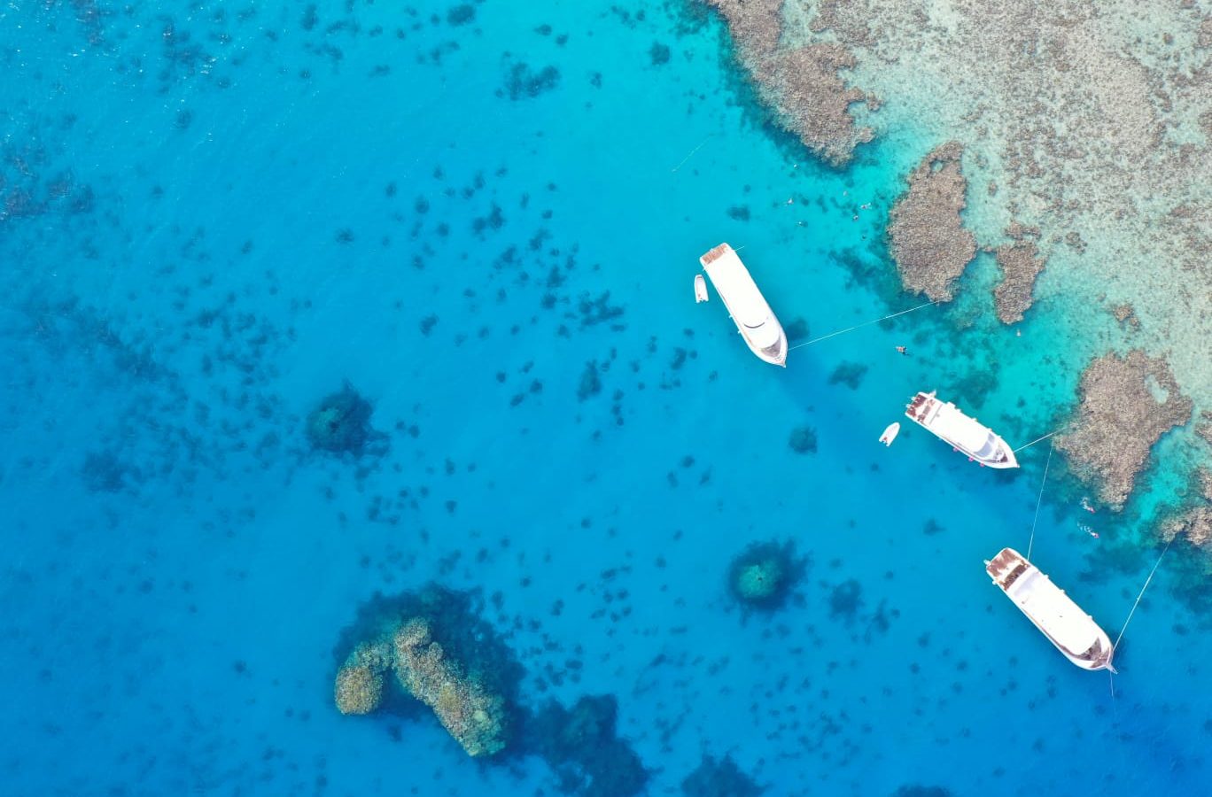 5. Ein verantwortungsvoller Gast sein