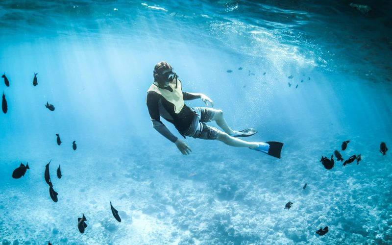 クリスタルの波の下へ：紅海に隠された海の宝物ガイド