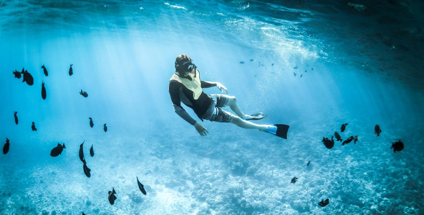 Unter kristallklaren Wellen: Ein Guide zu den verborgenen Meeresschätzen des Roten Meeres