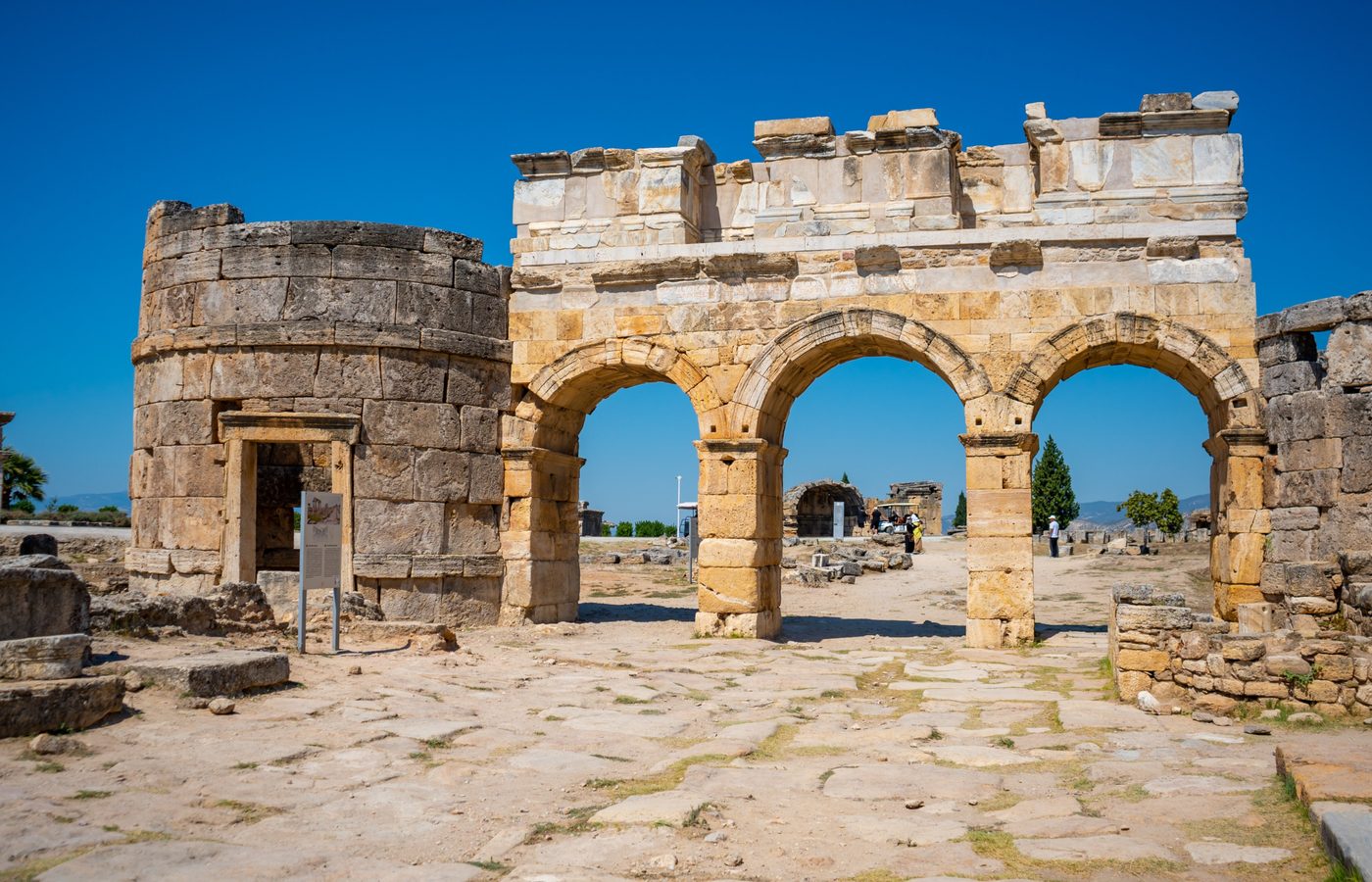 白に刻まれた自然の驚異