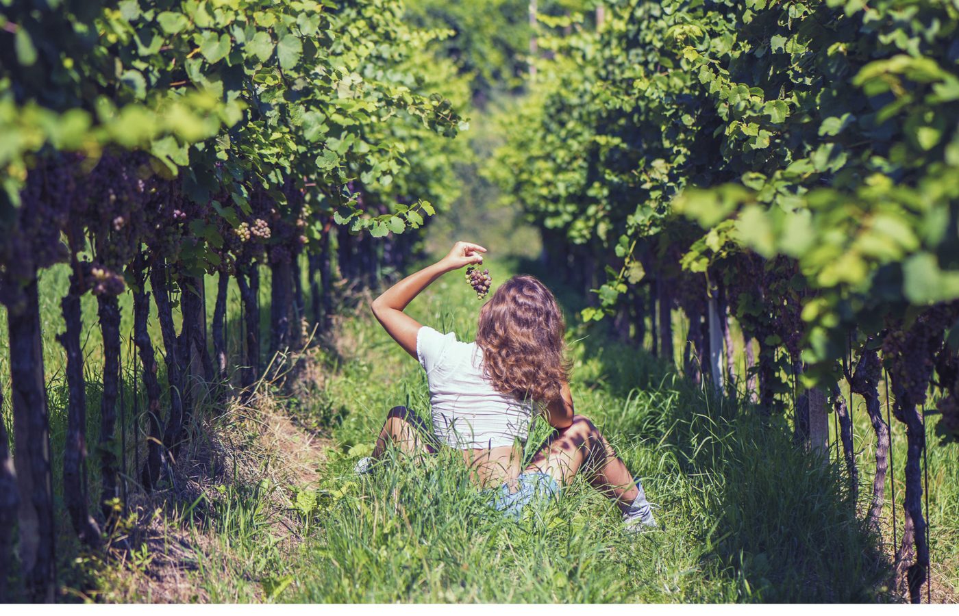 3. 味わい尽くす：Winelands＆カルチャー