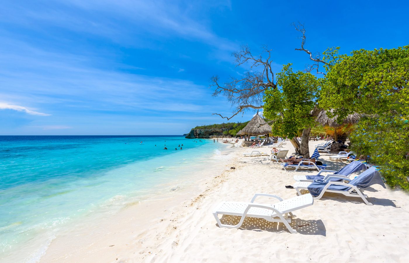 淡水の湧き水がもたらす魔法