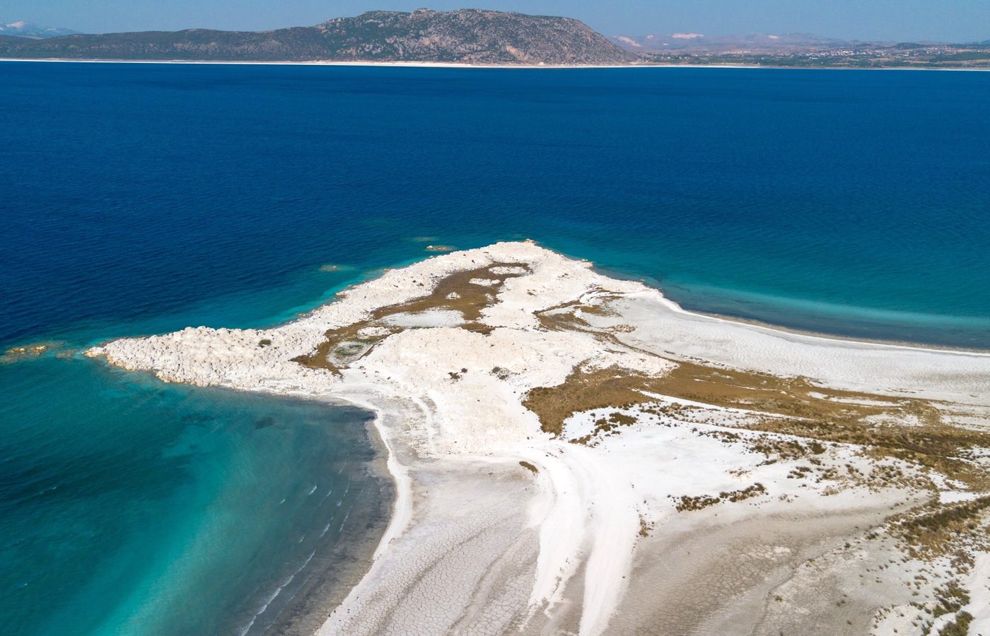 写真にも思い出にも最高