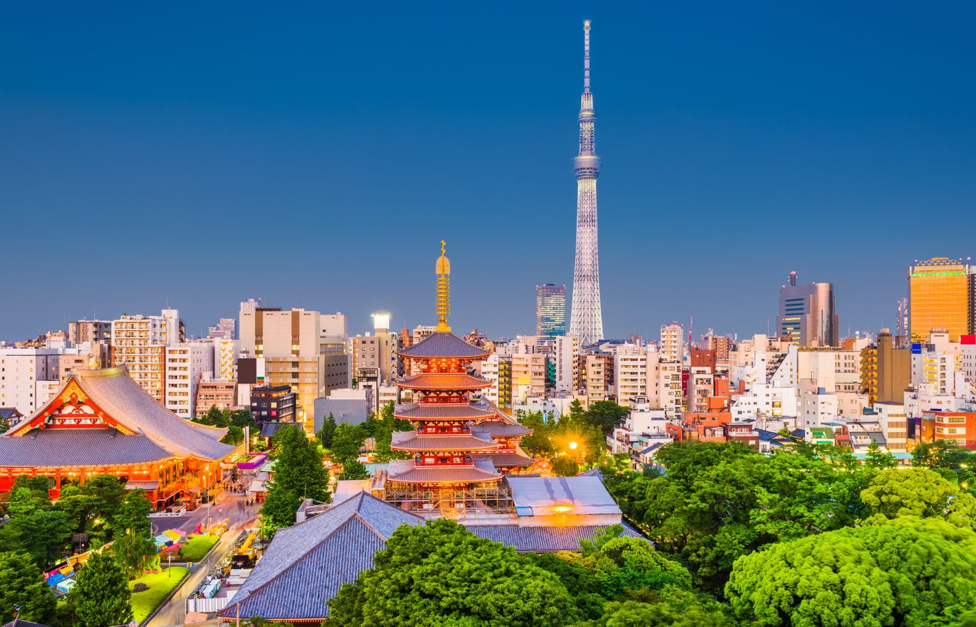 現代のラグジュアリーと古来の伝統が出会う場所