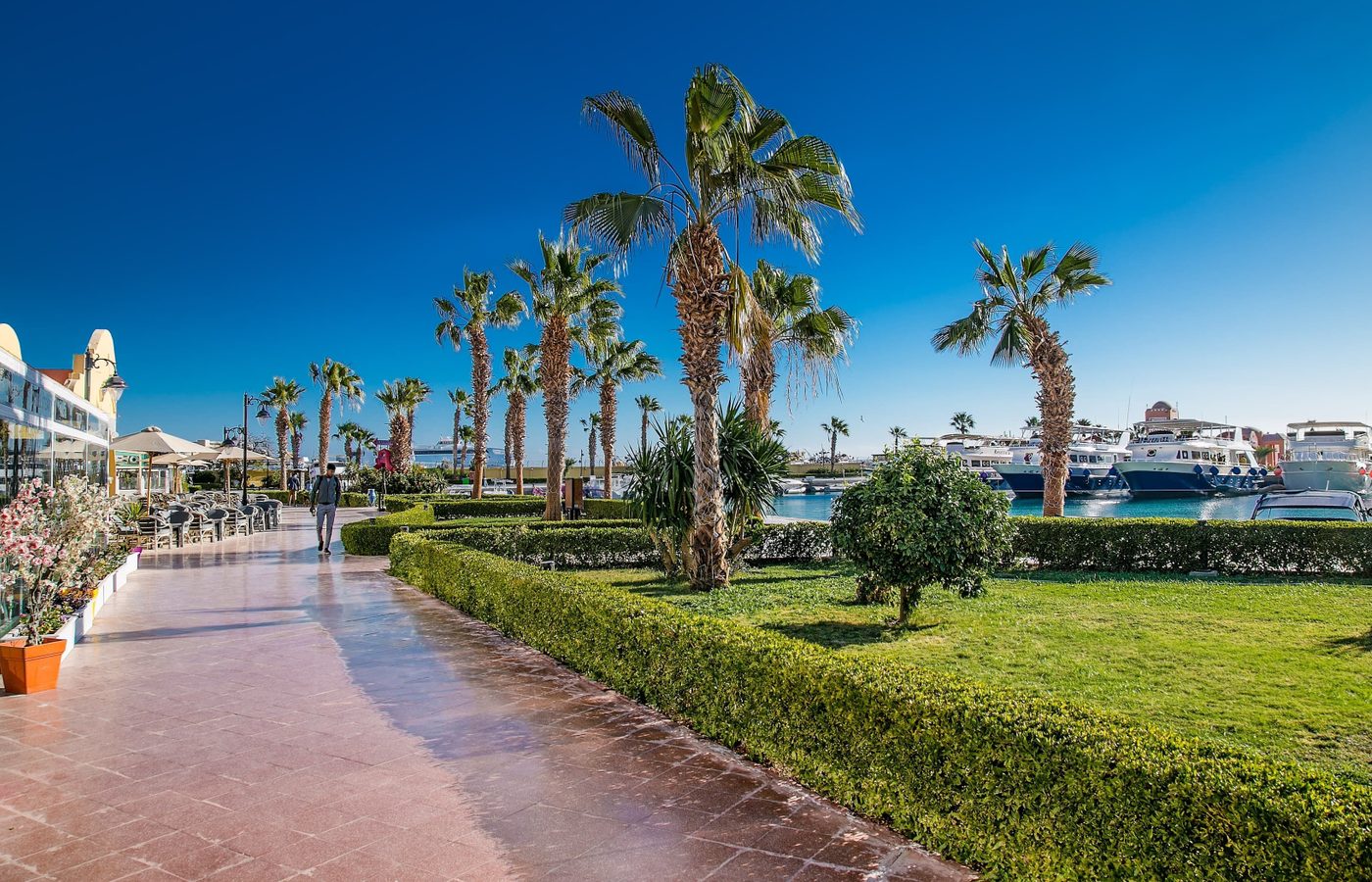 6. 自分のリズムを見つける：鍵はバランスです