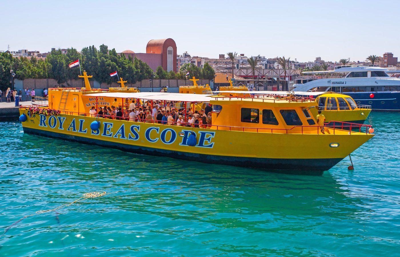 5. 何を持っていく？（必需品）