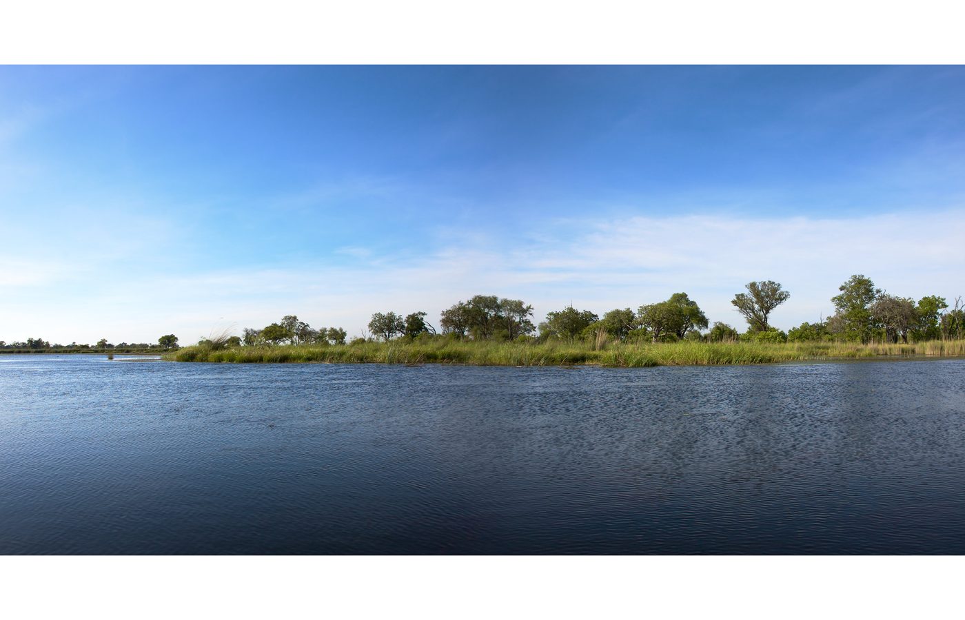 4. Wilderness：心を癒やすサンクチュアリ