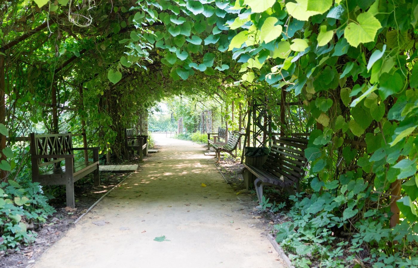 7. レールの上のラグジュアリー：Outeniqua Choo Tjoeのヘリテージ