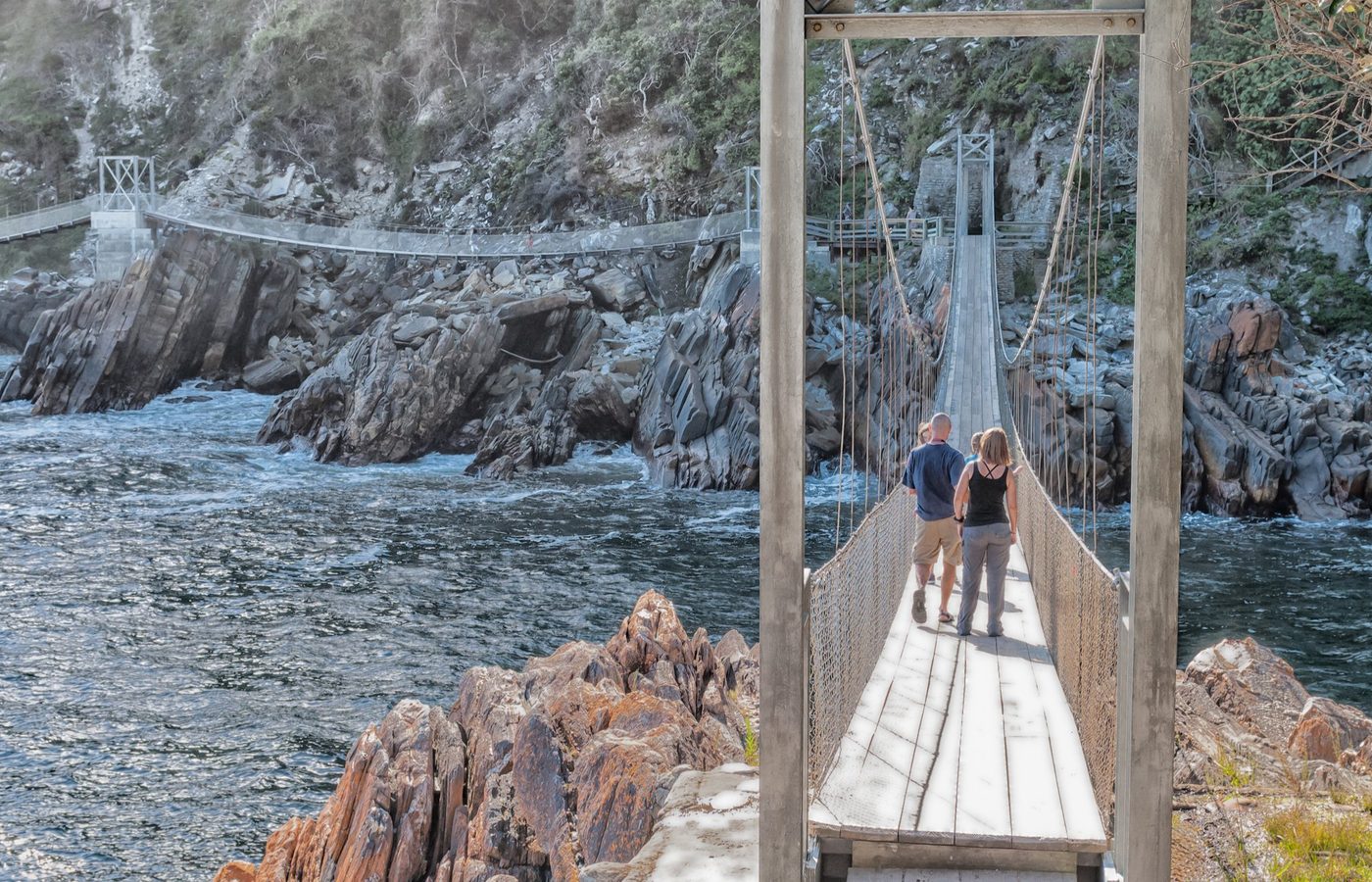 2. Tsitsikammaで樹冠の上を歩く体験