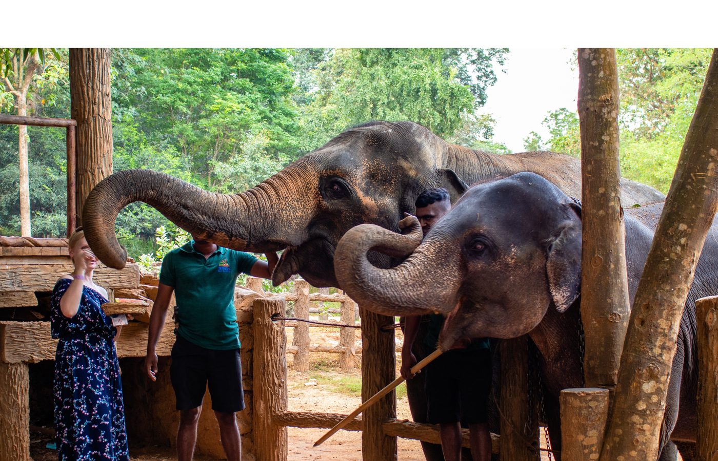 3. アドベンチャーの都：Plettenberg Bay