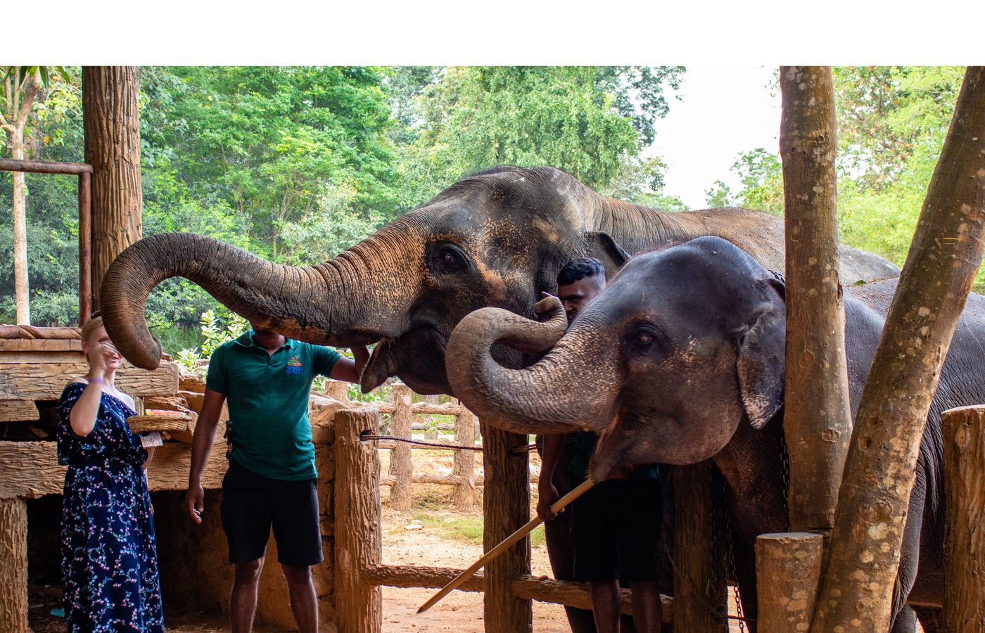 6. エレファント・サンクチュアリでの近い出会い
