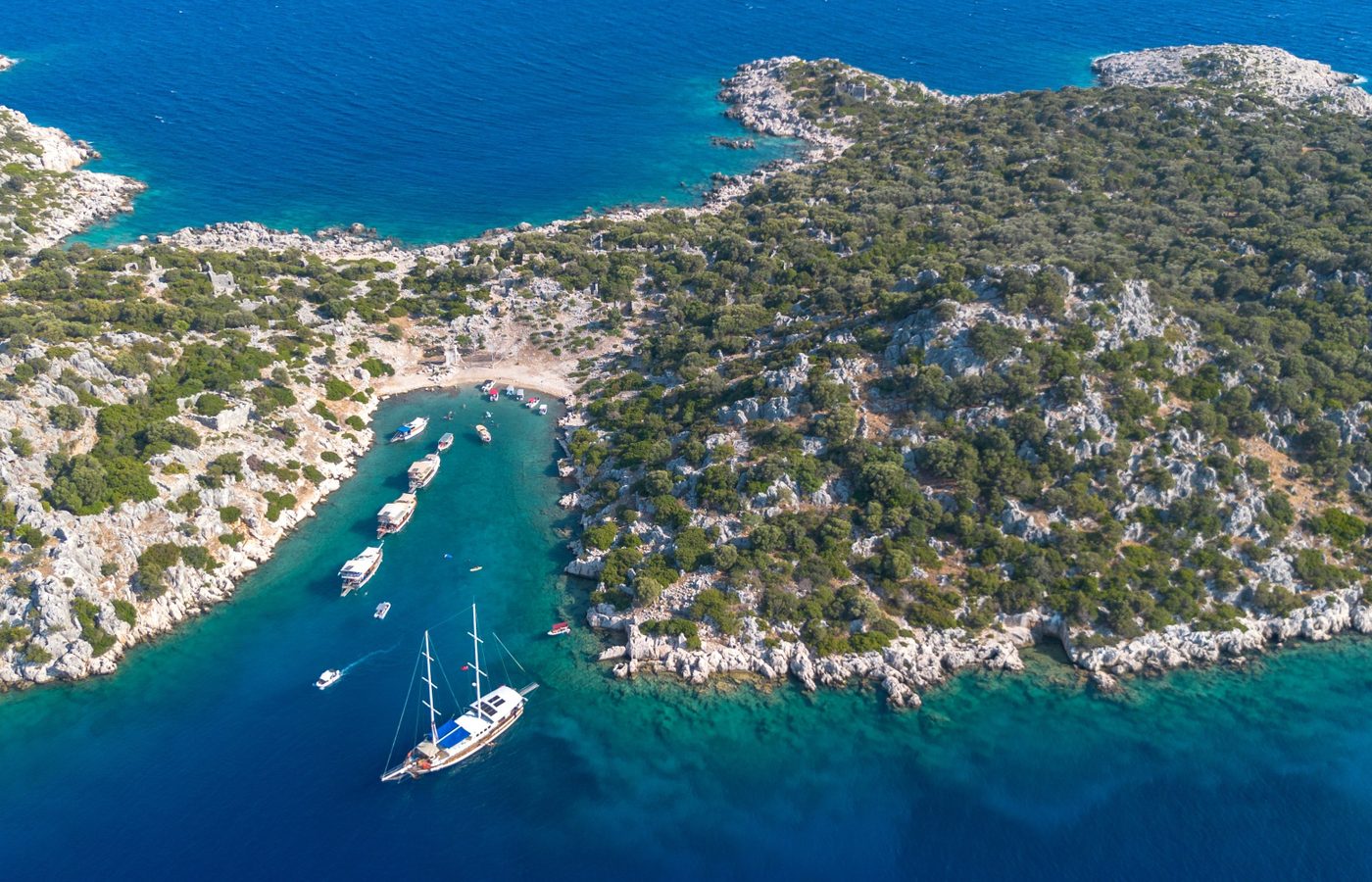 終日・歴史オデッセイに参加する10の理由