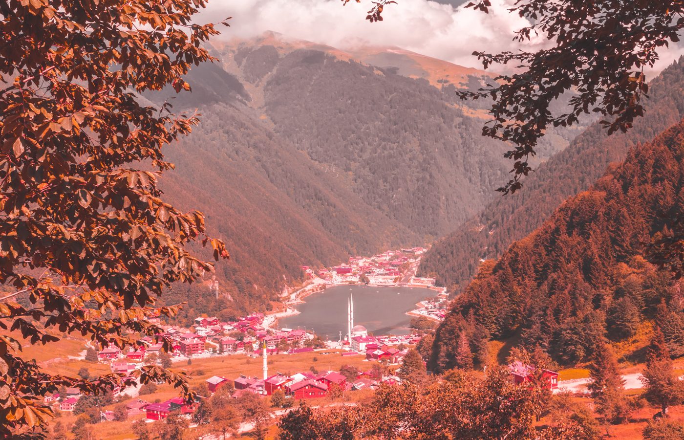 対照が魅力の一日：神殿から潮の香りへ