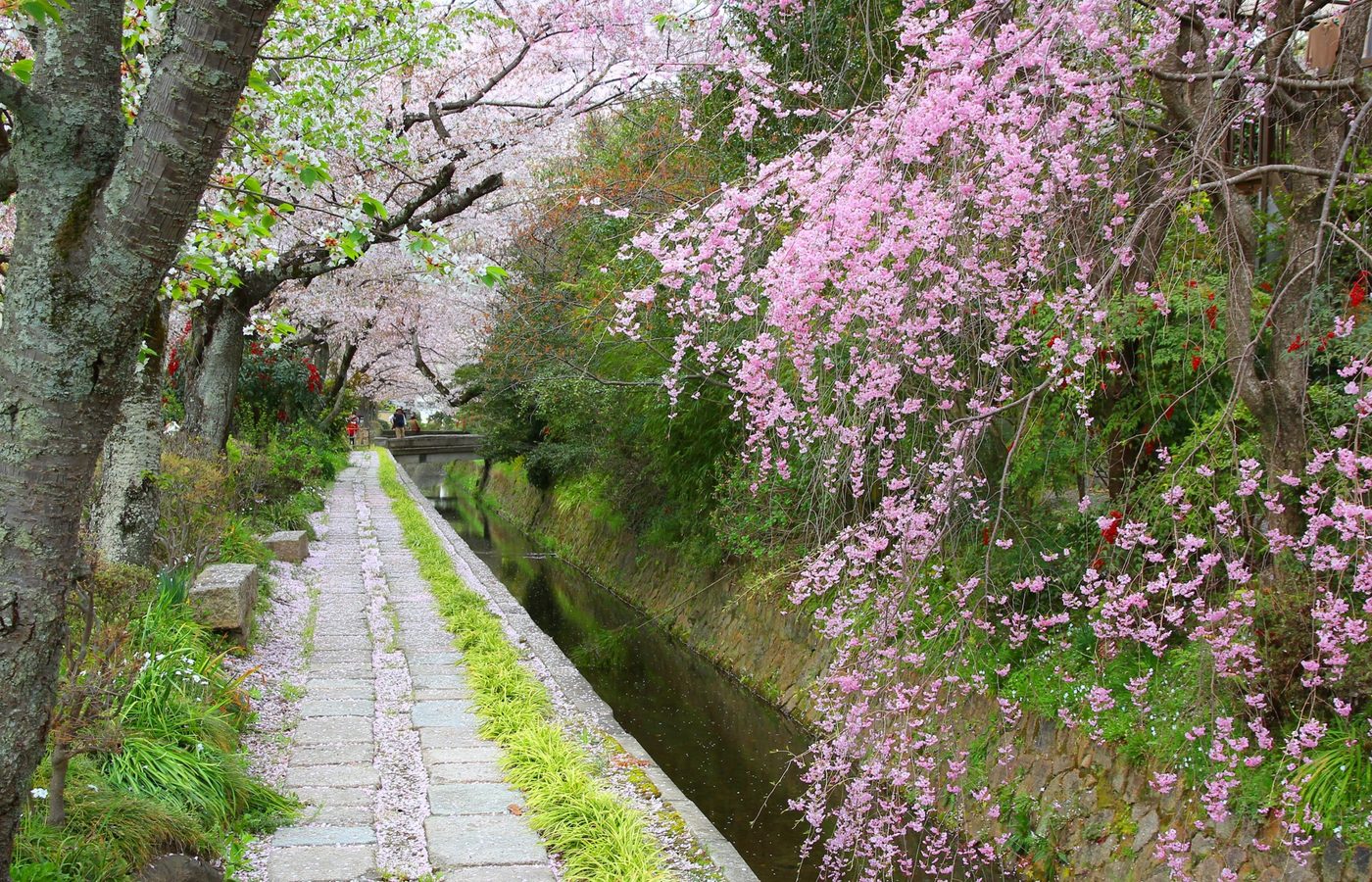 4. 金閣：Kinkaku-ji