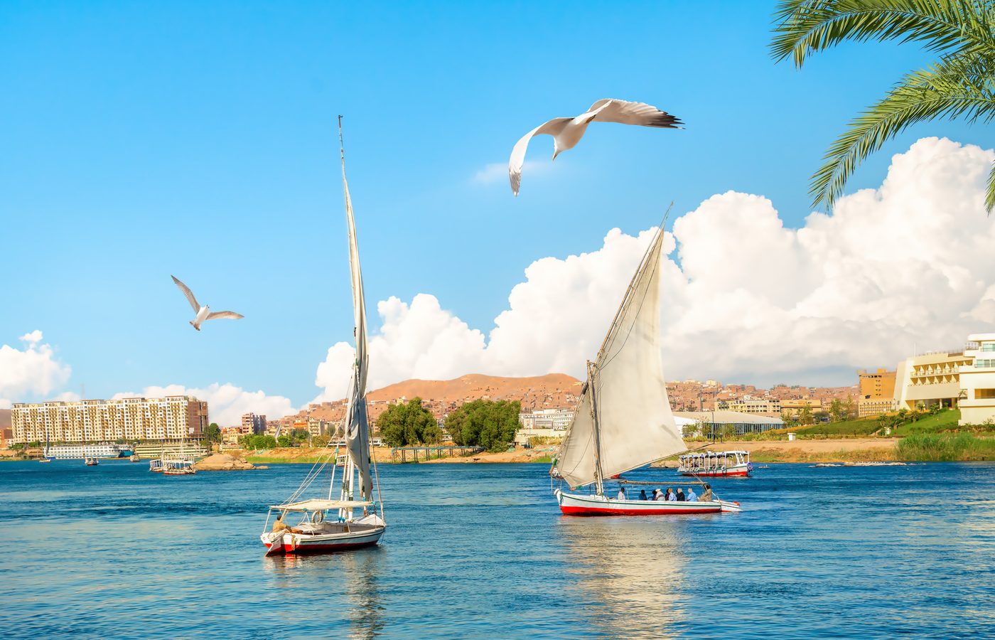 ナイルで楽しむスロートラベルの再来