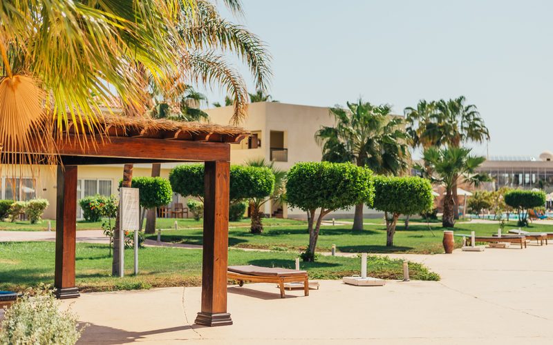 Into the Wild：北タイで叶える、倫理的なゾウとの出会いとジャングル・ラグジュアリー完全ガイド