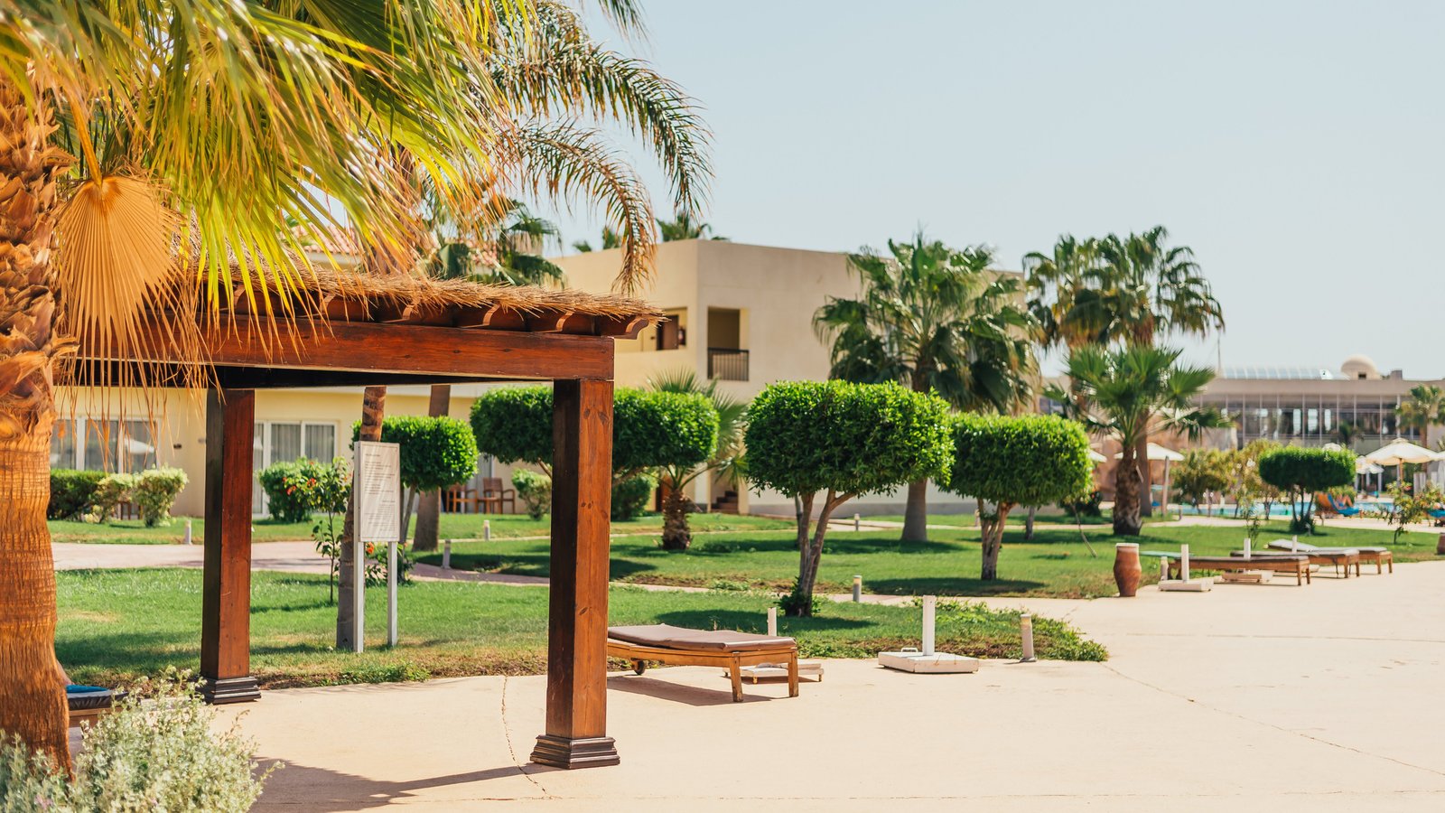 Into the Wild: de ultieme gids voor ethische olifantenontmoetingen en jungleluxe in Noord-Thailand