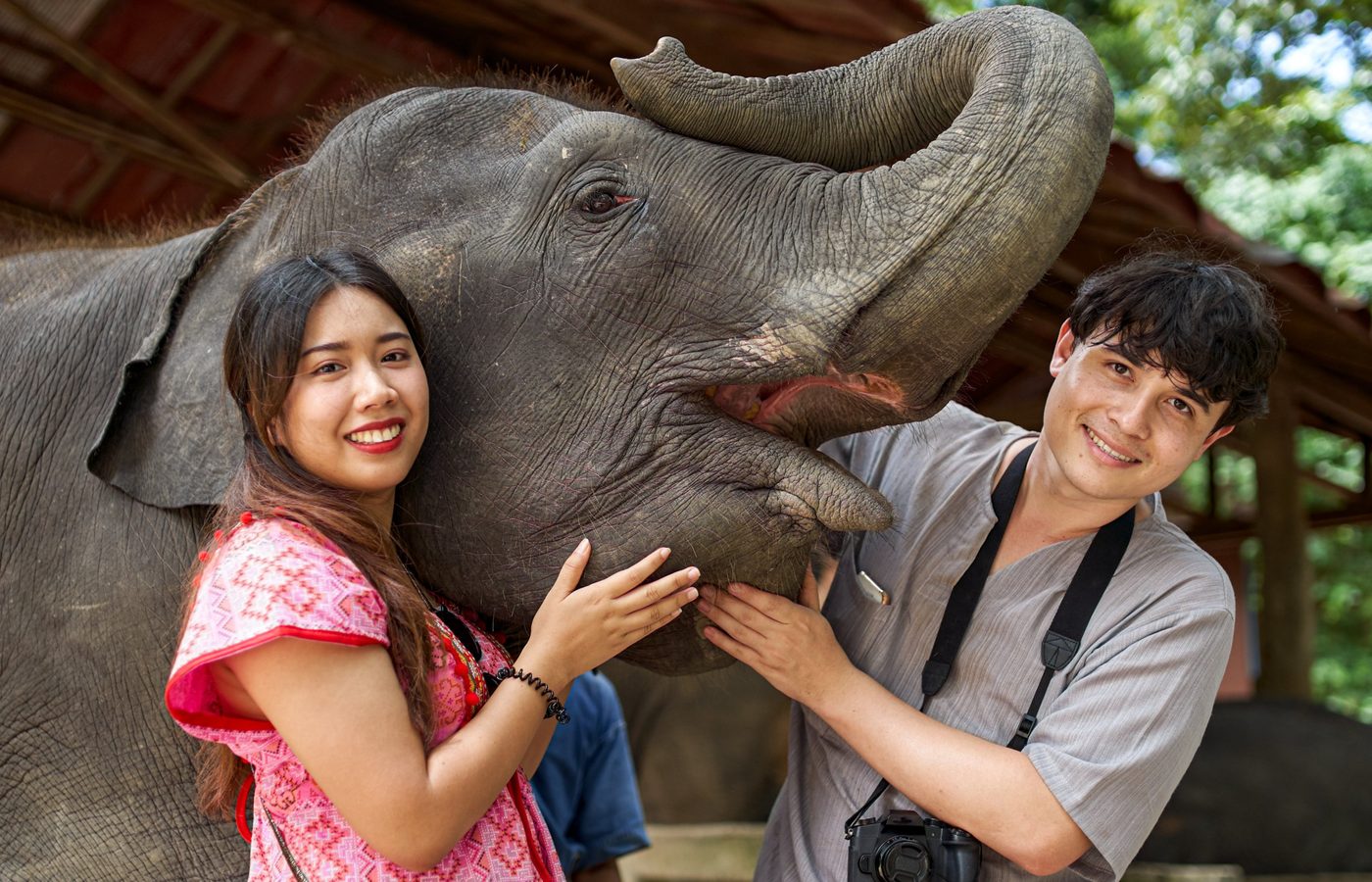 De verschuiving naar ethisch wildlife-toerisme