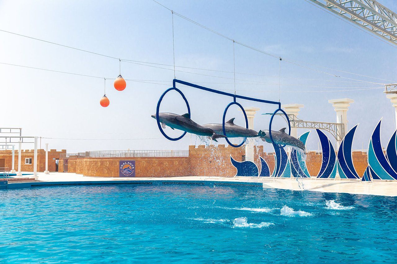 Tour image 5