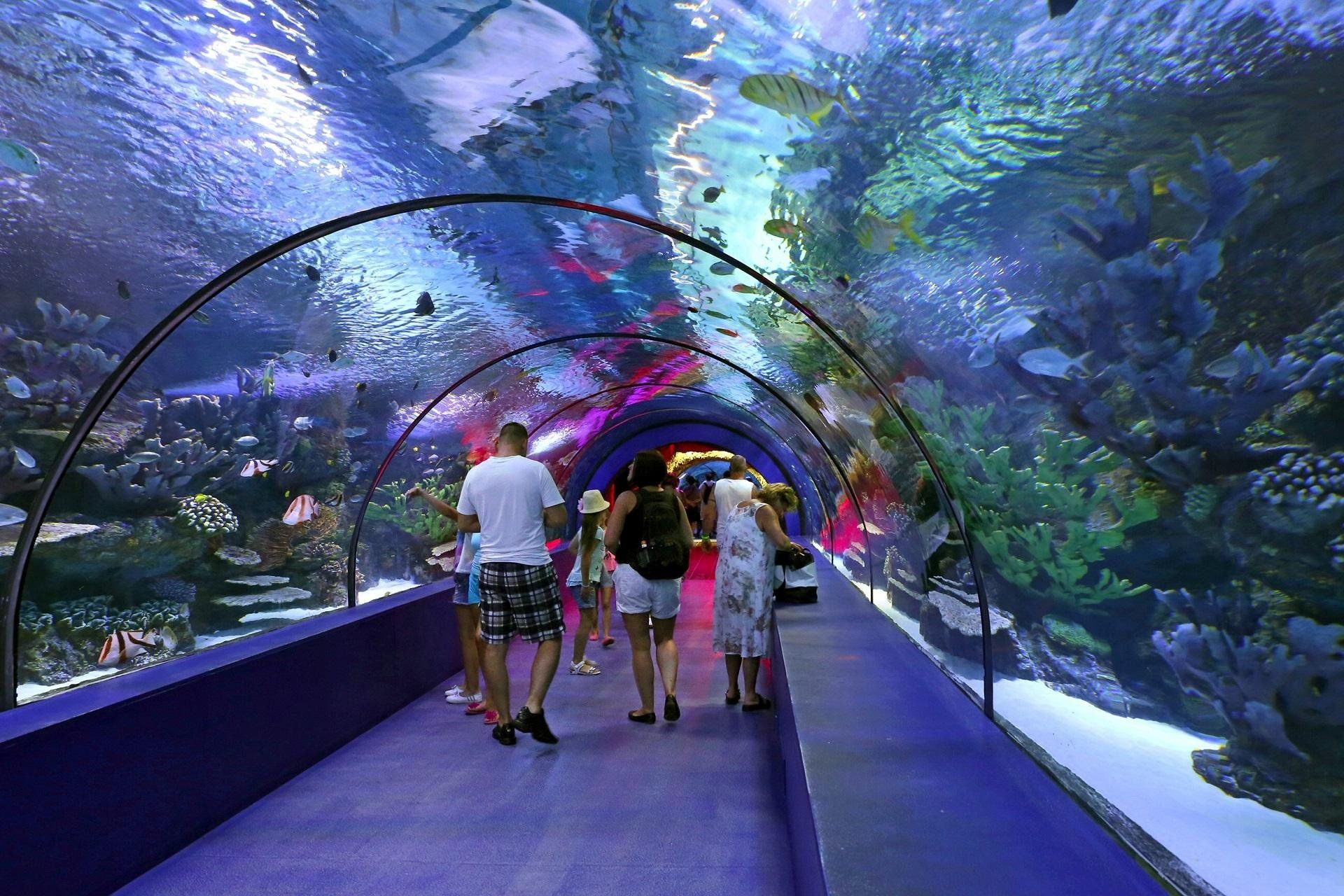 Tour image 3
