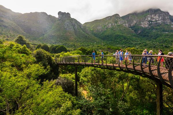 Robben Island and Wine Tasting from Cape Town with Hotel Pickup