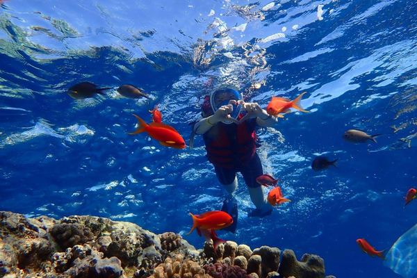 Dolphin House Snorkeling Cruise from Hurghada with Hotel Pickup