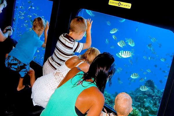 Semi-submarine cruise with Hotel Pickup Sharm El-Sheikh