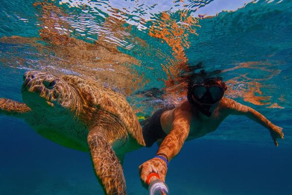 Snorkeling to Marsa Mubarak and Marsa Shona from Marsa Alam with Lunch