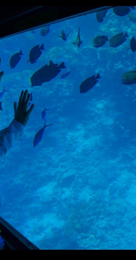 Tour image 2