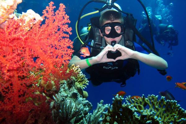 Scuba Diving Cruise in Hurghada with Hotel Pickup