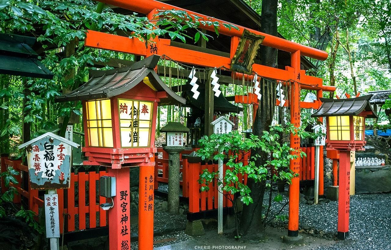 Tour image 4