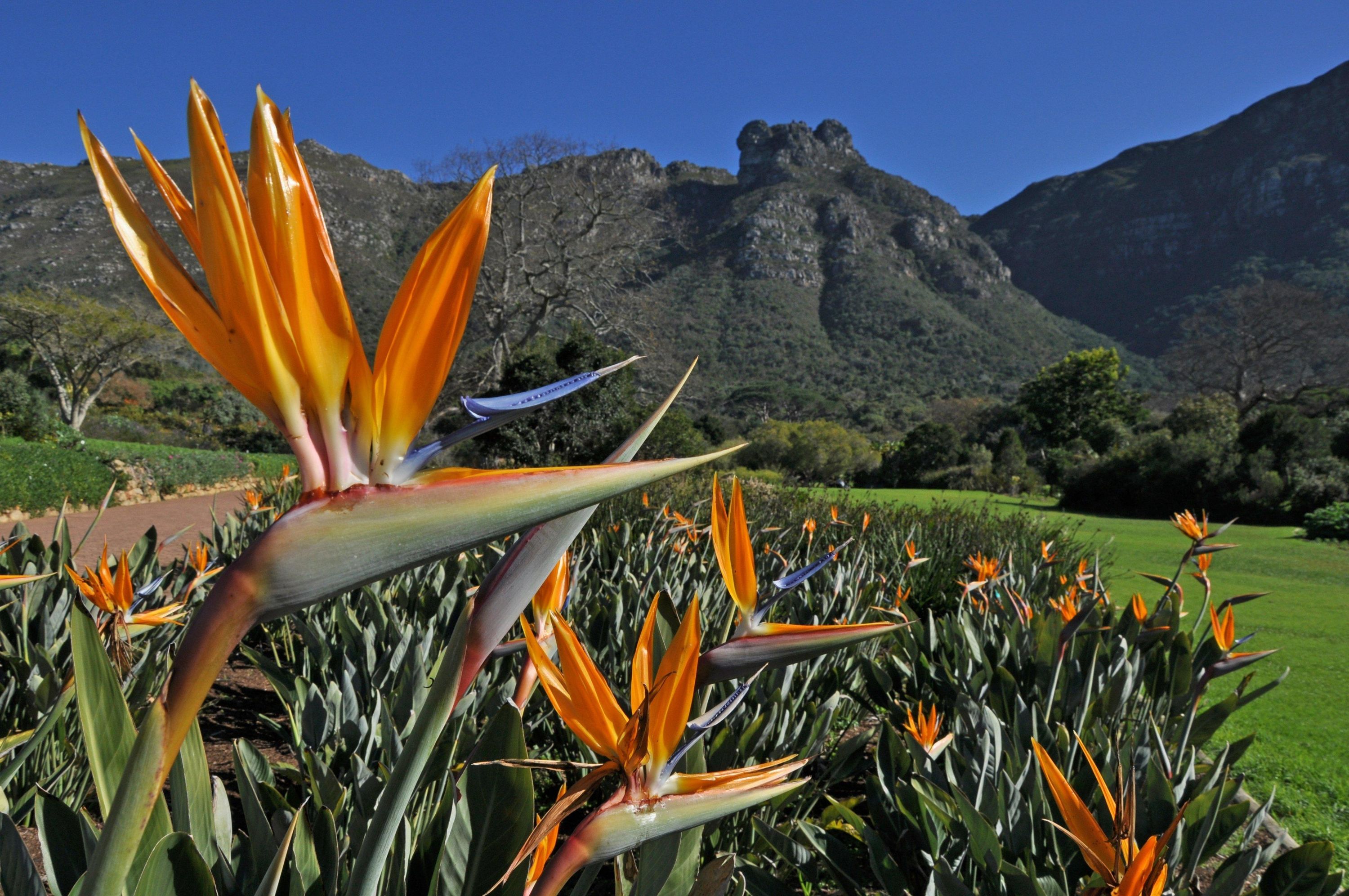 Tour image 5