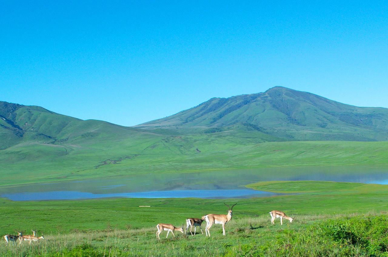Tour image 5