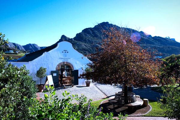 Wine and Cheese Tasting, Cellar Tour in Constantia with Hotel Pickup
