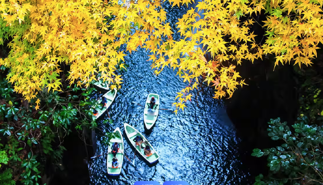 Tour image 3