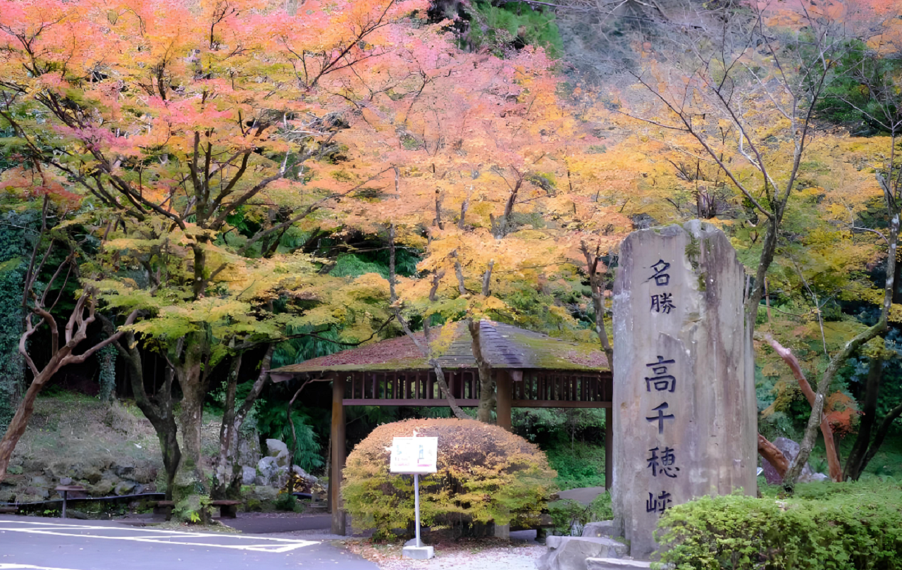 Tour image 5
