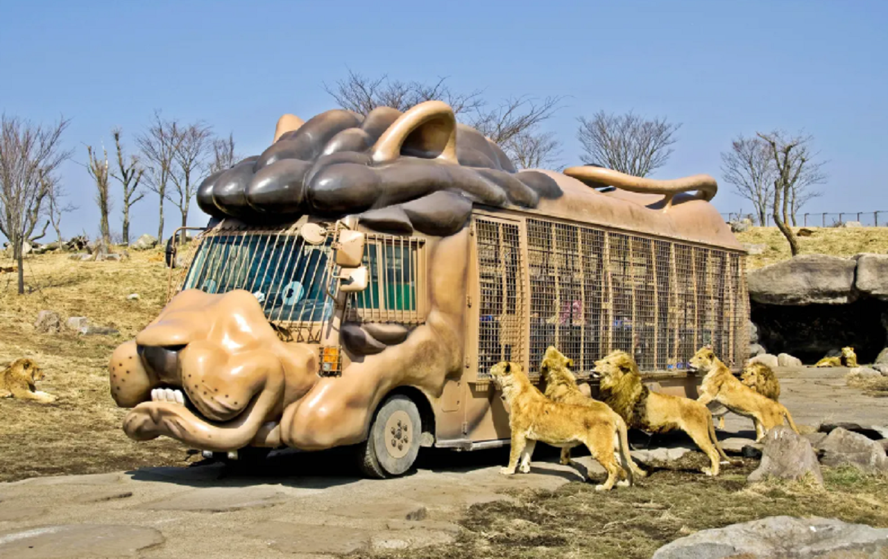 Tour image 3