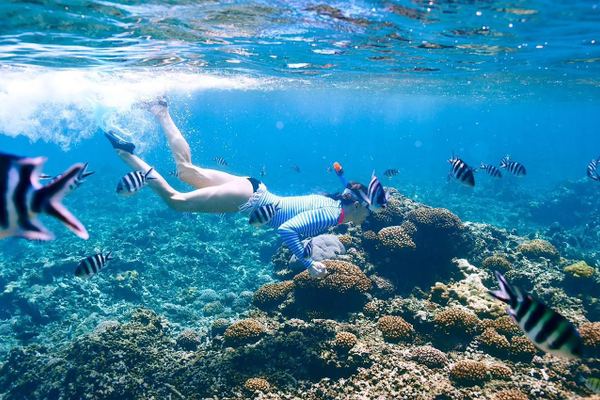 Snorkeling Cruise to Orange Bay from Hurghada with Lunch