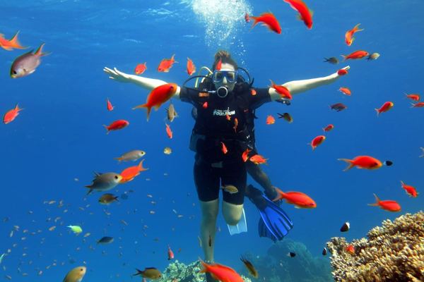 Snorkel cruise to Orange Bay from Hurghada with Open Buffet Lunch