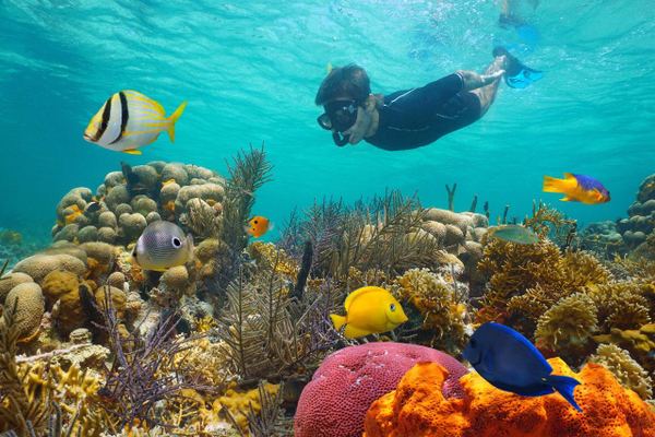 Ras Muhammad Snorkeling Cruise from Sharm El Sheikh with Hotel Pickup