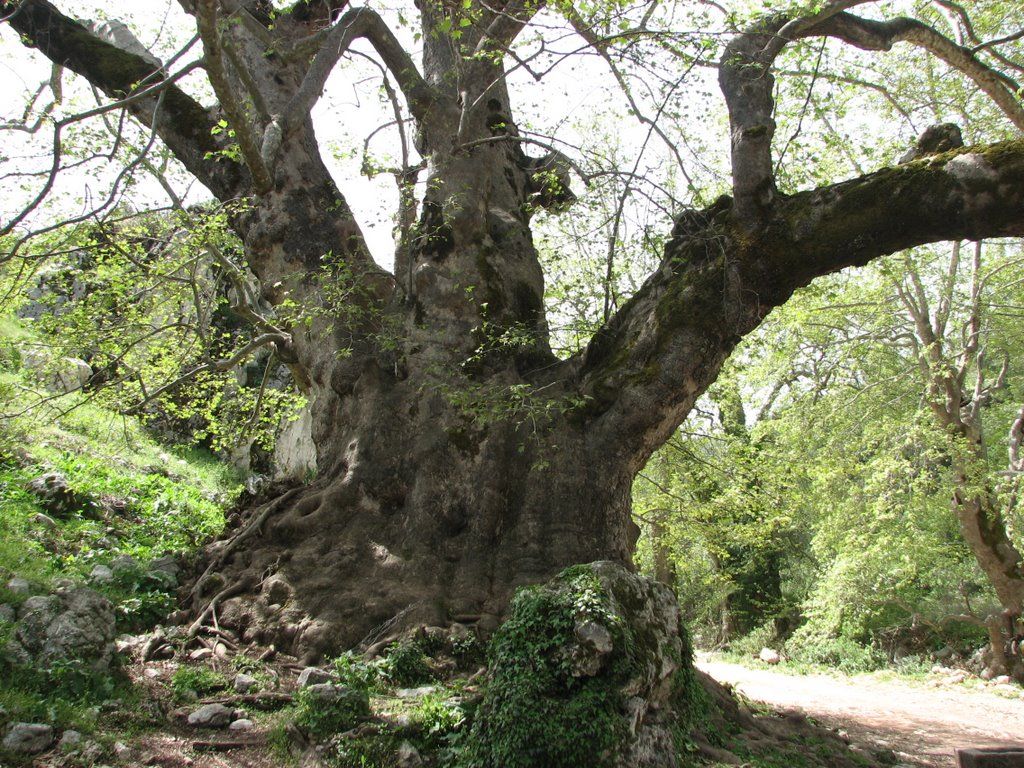 Tour image 5