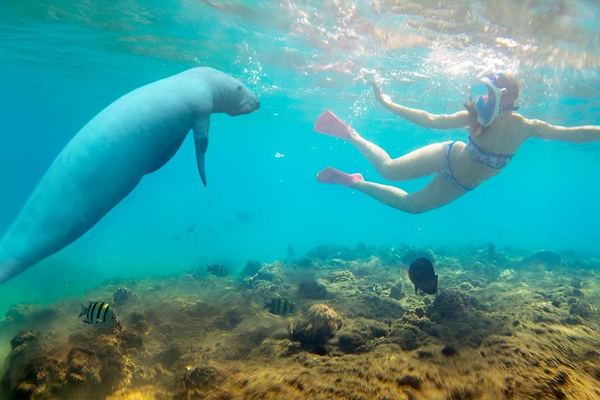 Snorkeling in Hamata Islands from Marsa Alam with Lunch